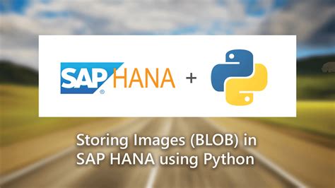 Read SAP data — especially tables — using the SAP HANA Connector. . How to extract data from sap hana using python